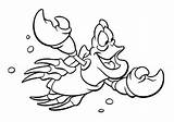 Sebastian Mermaid Coloring Pages Little Crab Jamaican Tritons Red Swims Happily Undersea Print Pages2color Servant Color sketch template