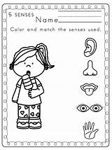 Senses Coloring Pages Five Worksheets Preschool Kindergarten Preschoolers Worksheet Printable Printables Sense Kids Clipart Toddler Color Activities Sheets Skills Coloringhome sketch template