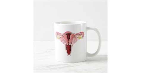 female reproductive system mug zazzle
