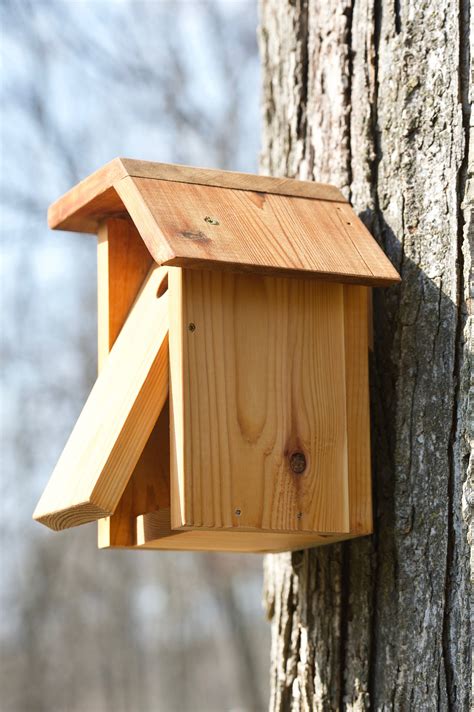 black capped chickadee cedar bird house etsy