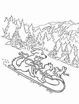 Coloring Sleigh Adron Sled sketch template