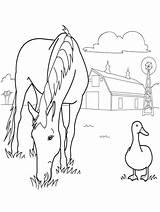 Coloring Pages Horse Farm Animal Printable Herd Print Templates Template Kids Animals Color Wild Sheets Horses Rocks Frame Two Getcolorings sketch template