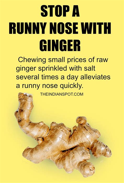 home remedies  runny nose cold remedies runny nose homemade