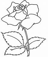 Gambar Coloring Pages Bunga Mawar Mewarnai Flower Sheets Flowers Printable Kids Putih Hitam Rose Yang Print Choose Board Templates Adult sketch template
