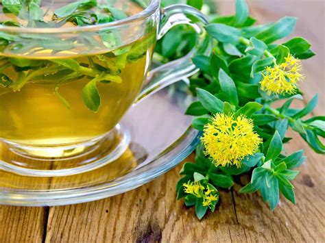 The Best Tea For Stress And Depression 15 Types Of Teas To Try Tea