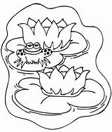 Coloring Lily Pages Water Lilies Frog Cute sketch template