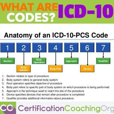 icd  codes   icd  codes work medical coding