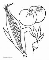 Corn Coloring Pages Printable Template Indian Fruit Cob Food Comments Kids Library Coloringhome Popular Vegetables Outline Related sketch template