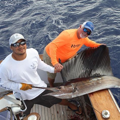 jd   sailfish caught  kona unusual    deep blue marlin fishing   hawaii