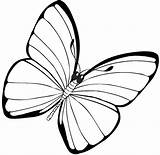 Butterfly Coloring Pages Simple Drawing Kids Getdrawings sketch template