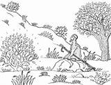 Moses Bush Burning Coloring Pages Great Mt Bulrushes Robin sketch template