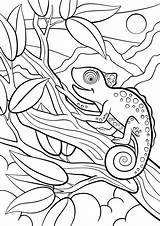 Chameleon Kameleon Dieren Wilde Kleurplaten Camaleonte Kolorowanki Selvatici Schattige Dzieci Bestcoloringpagesforkids Carino Siede Piccolo Chameleons Camouflage Mayka Wydrukowania sketch template
