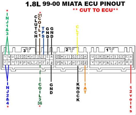 miata ecu wiring diagram wiring diagram