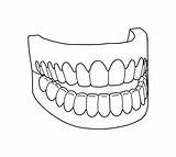 Teeth Coloring Printable Drawing Mouth Vampire Dental Realistic Smile Easy Fangs Tooth Sheets Getdrawings Human Kid Dentist Abstract Getcolorings Popular sketch template