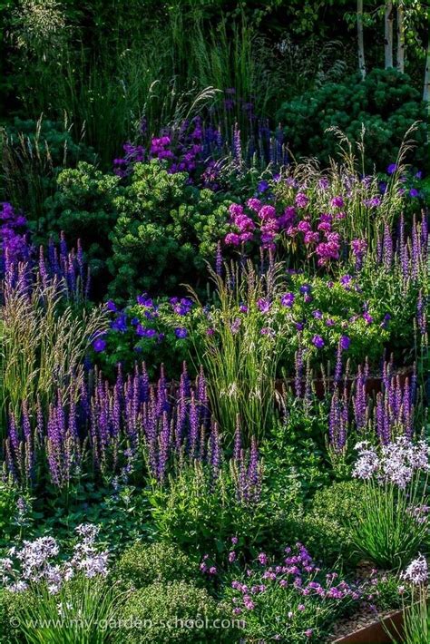 hugedomainscom plants beautiful gardens purple garden