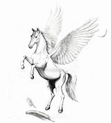 Pegasus Unicorn Tatuagem Pferd Pegase Winged Ausmalbild Feather Desenho Cheval Cavalo Pencil Alado Mythologie Tribal Pégase Askideas sketch template