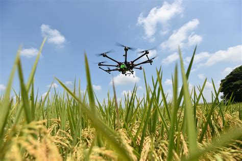 crop monitoring drone image eurekalert science news releases