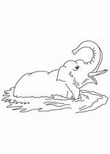 Elephant Coloring Water Muddy Collecting Pages Seal Library Clipart Popular sketch template