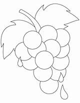 Grapes Coloring Pages Grape Kids Vine Ripe Printable Color Fresh Colouring Template Sheets Bestcoloringpages Leaf Fruit Books Outline Getcolorings Pattern sketch template