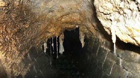huge ‘johnnybergs made up of vast congealed blobs of condoms are blocking british sewers