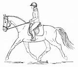 Caballo Jinete Jumping Posture Doma sketch template