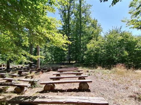 pfingstwiese bei sondheimrhoen radtouren und radwege komoot