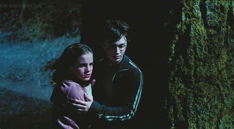 And Harry S Hand Just Lingered On Hermione S Arm Why