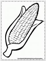 Corn Coloring Pages Cob Printable Cartoon Kids Color Clipart Drawing Thanksgiving Print Cliparts Harvest Preschool Clip Fruit Printables Vegetable Fall sketch template