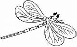 Dragonfly Coloring Pages Printable Kids Fly Dragon Template Libellule Sheets Drawing sketch template