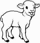 Sheep Coloring Pages Printable Cute Kids sketch template