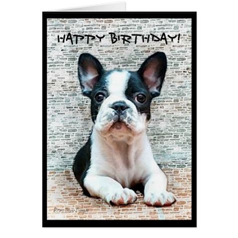 happy birthday french bulldog greeting card zazzle