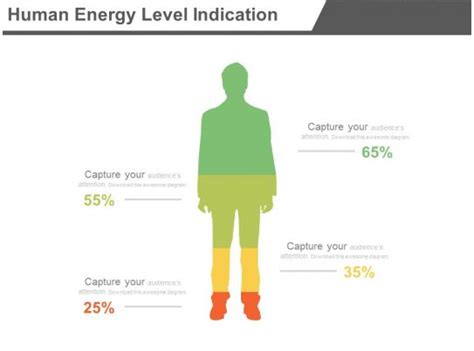 human energy level indication percentage chart powerpoint   powerpoint