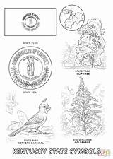 Kentucky Coloring Pages State Symbols Printable Flag Printables Derby Kids Alabama Bird California Flower Getdrawings Drawing Ss Popular Sheet Color sketch template