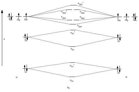 drawing atomic  molecular orbitals diagrams  molecules organic chemistry socratic