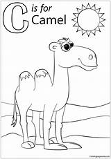 Letter Pages Camel Coloring Color Kids Alphabet sketch template