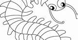 Millipede Template Pages Coloring Centipede sketch template