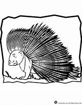 Porcupine Coloring Pages Cliparts Clipart Animal Attribution Forget Link Don Library Cartoon sketch template