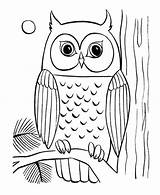 Owl Pages Fall Coloring Owls Halloween Drawing Color Clipart Template Clipground Paintingvalley Print Printable Drawings Animals sketch template