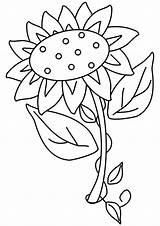 Bunga Matahari Mewarnai Sonnenblume Girassol Flower Pintarmewarnai Malvorlagen Letzte Book sketch template