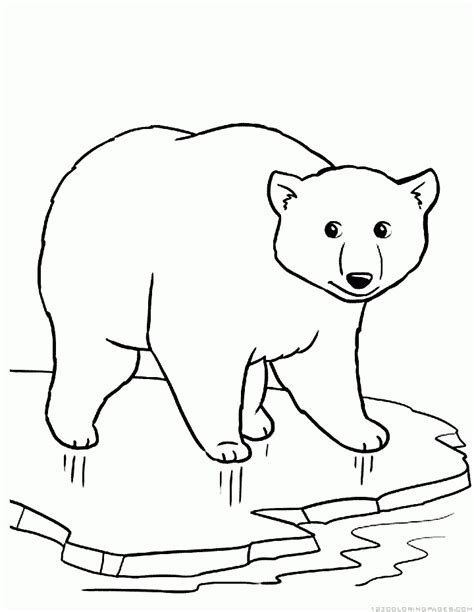 polar bear coloring pages part