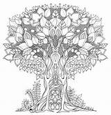 Coloring Forest Enchanted Pages Tree Printable Book Basford Adult Johanna Para Mandala Garden Lonely Adults Trees Sheets Colorir Color Colorear sketch template