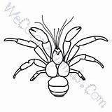 Coloring Crab Coconut Pages Click sketch template