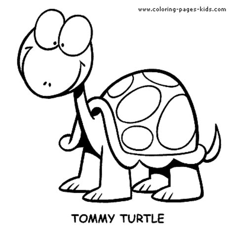 turtle coloring pages    clipartmag