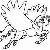 Pegasus Unicorn sketch template