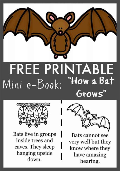 bat printables  printable templates