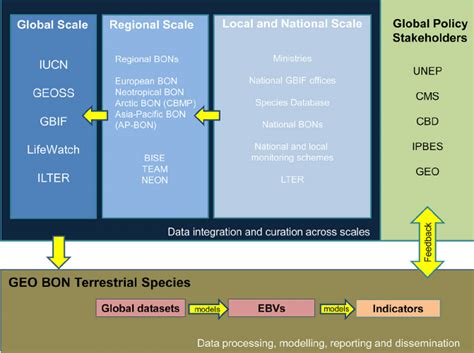 steps  local  national  regional  global scale