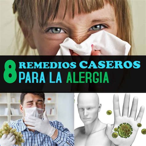 los 8 mejores remedios caseros para tratar la alergia la guía de las