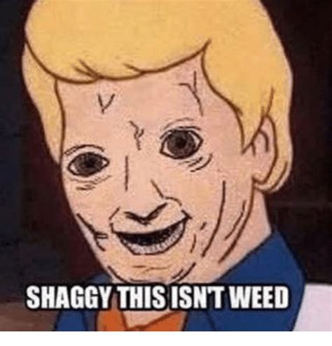 Shaggy This Isn Tweed Meme On Sizzle