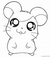 Hamster Coloring4free Sheets sketch template