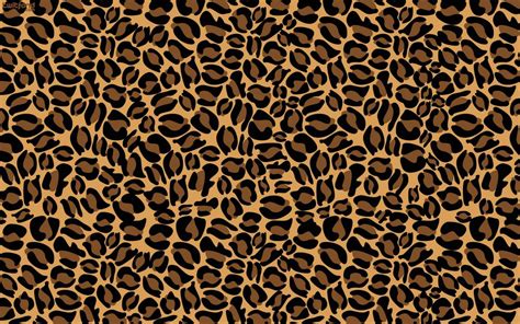cheetah print wallpapers top  cheetah print backgrounds